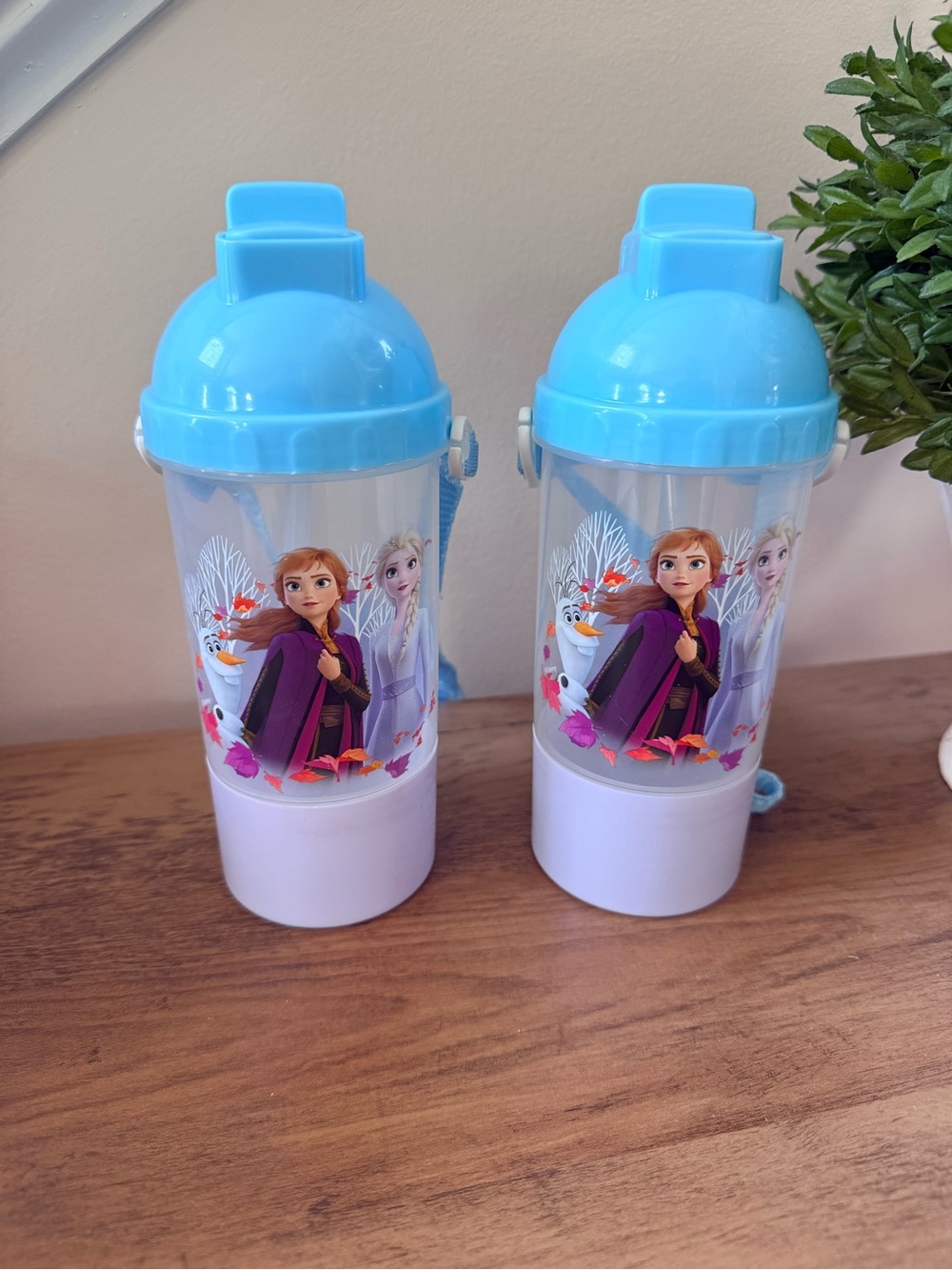 🆕 Set Of 2 Disney Frozen II Elsa/Anna Rock N Sip ‘N Snack Water Bottle Canteen